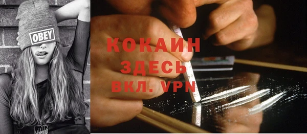 spice Арсеньев