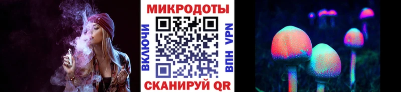 магазин  наркотиков  Приморск  Галлюциногенные грибы Cubensis 